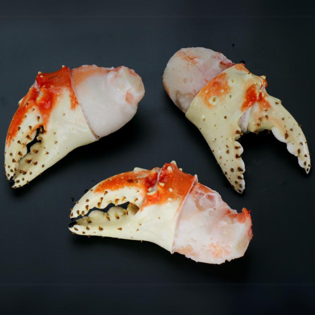 PINZAS (1024 x 1024 px)