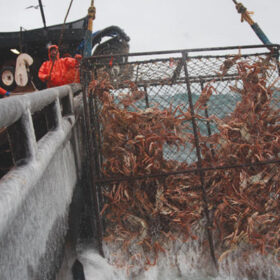 pescadores_alaska_02